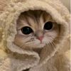 merul_l