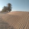 kamel.beltaif
