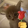 tuongziiihihi