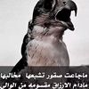 user24693600799995
