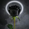 charliexdua0.2