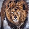 nour.houda6816