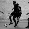 eduardo.schlomer