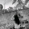 prashnamgrx7