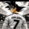 yons_sorchi