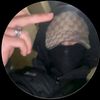 elmineur.1