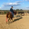 bernardo.calixtra
