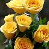 user4408540175019