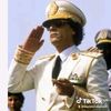 mamermohamed5