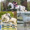 amhshowjumping
