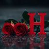 khalilkhawry5