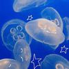 _marine_biology0_0