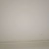 hodie_01