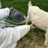 daweiveterinarymedical