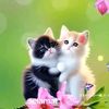 nurul_hasni1235