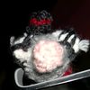 ima._.rat1