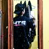 dimas.ryan15