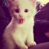 eyiiww4
