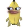 iyeu_icaa02