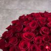 rozaa6232