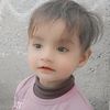 fazan9196