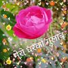 rabi.acharya14