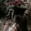 _mehek_queen_