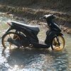 bberto799