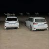 talal.501_