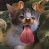 glxsyy.aql