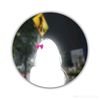 user3260062459055