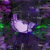 k1tty_jeffy