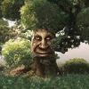 elder.wood
