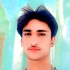 fiaz.lishari