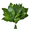zhaolusi.t
