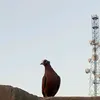 u8mv_24