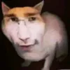 sybaumamamia