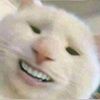 devafadilah8
