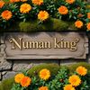 numanking.khan