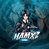 hamxz_strr