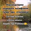 ollohgaoshiqqalb04