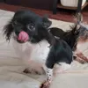 charlieebub