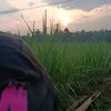rifqi_frmn