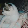 nic.minaj9