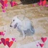 user8748830812011
