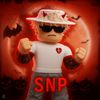 snip284