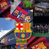 nour.ahmed0780