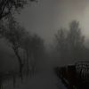 dark__winter_