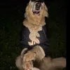 scpoo4