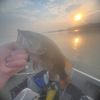 fishing4damon